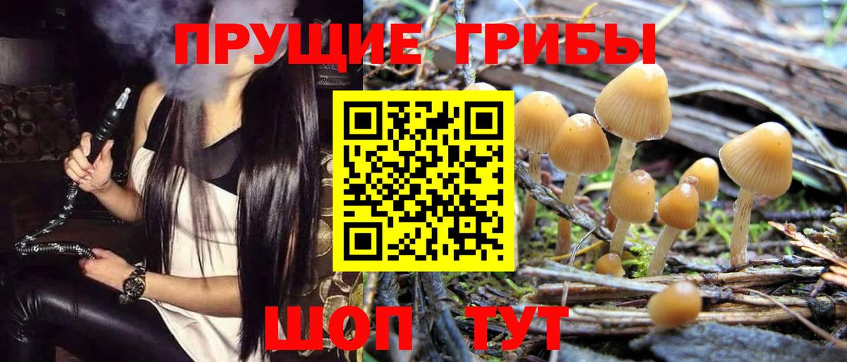 Псилоцибиновые грибы мицелий  Вход с VPN  Псилоцибиновые грибы Psilocybe  Санкт-Петербург 